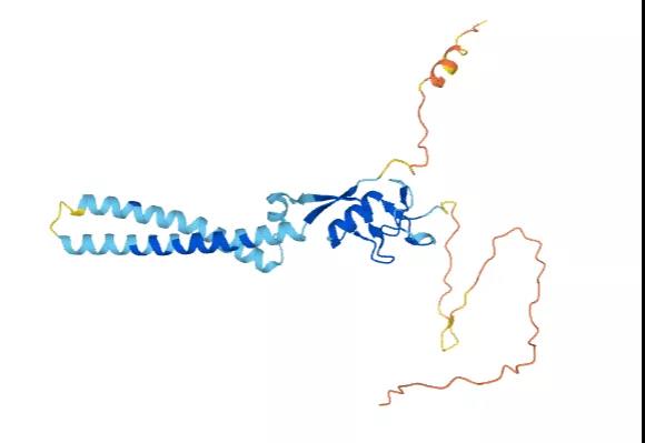 Marchf2基因敲除小鼠 Marchf2基因敲除小鼠