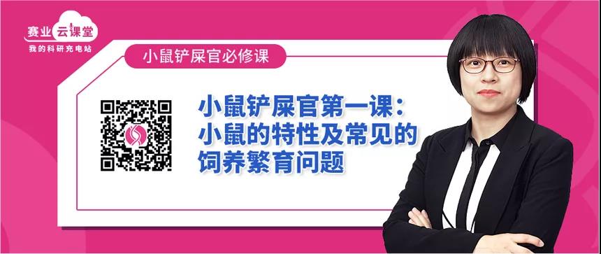 小鼠溃疡性皮炎该怎么办