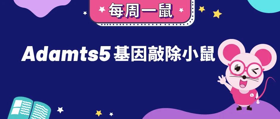 Adamts5基因 Adamts5基因