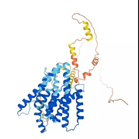 阿尔兹海默病与Psen1基因编辑小鼠