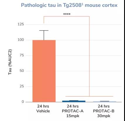 阿尔兹海默病与Psen1基因编辑小鼠
