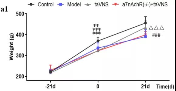 大鼠在神经领域的应用 大鼠在神经领域的应用
