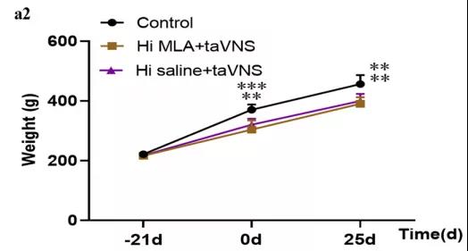 大鼠在神经领域的应用 大鼠在神经领域的应用