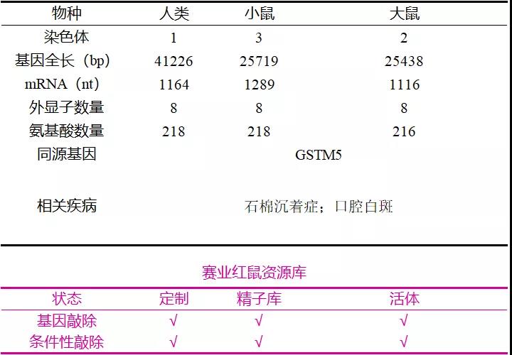 Gstm1基因敲除小鼠
