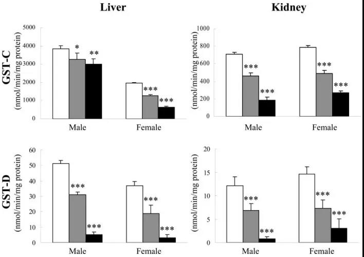 Gstm1基因敲除小鼠