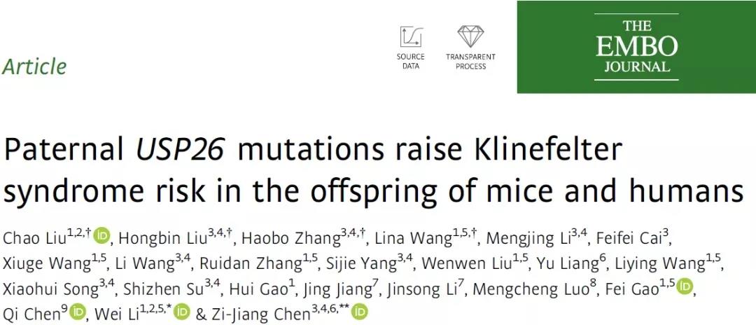 基因编辑小鼠助力生殖研究 基因编辑小鼠助力生殖研究