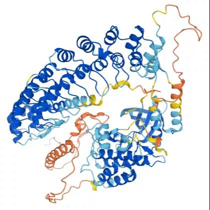 Tnni3k基因编辑小鼠