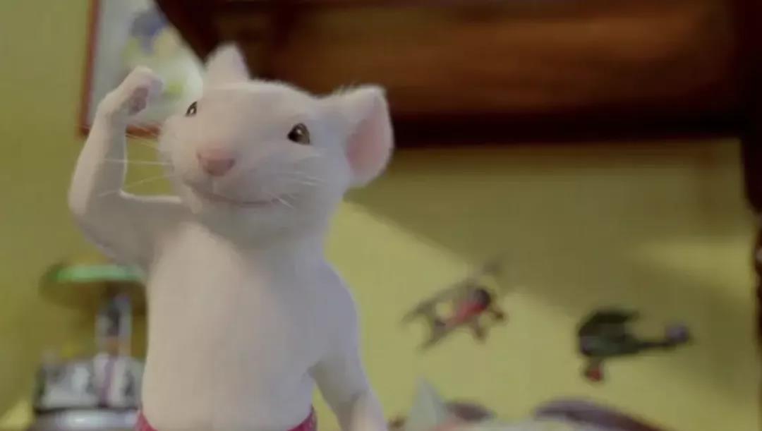 WeChat Image_20220221110527.jpg WeChat Image_20220221110527.jpg