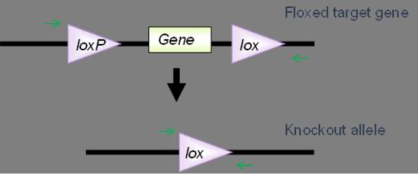 WeChat Image_20220309113529.png