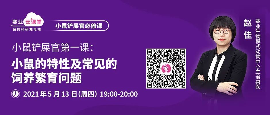 妊娠期与哺乳期大小鼠