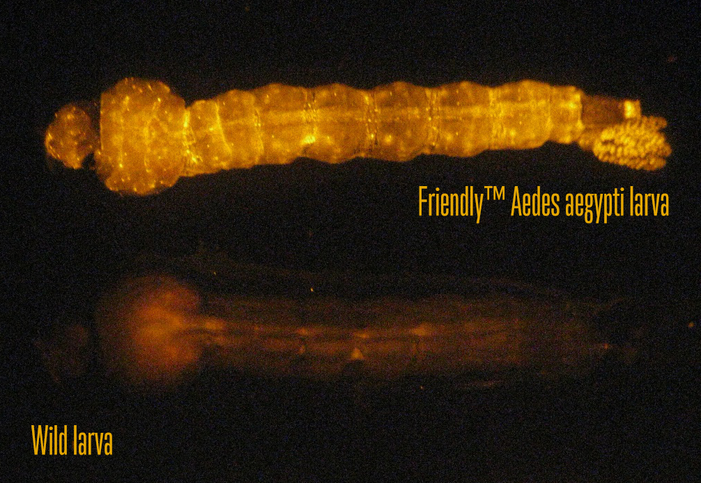 76f9f173c1c54858a458ed400ce07e97jpg.png 76f9f173c1c54858a458ed400ce07e97jpg.png