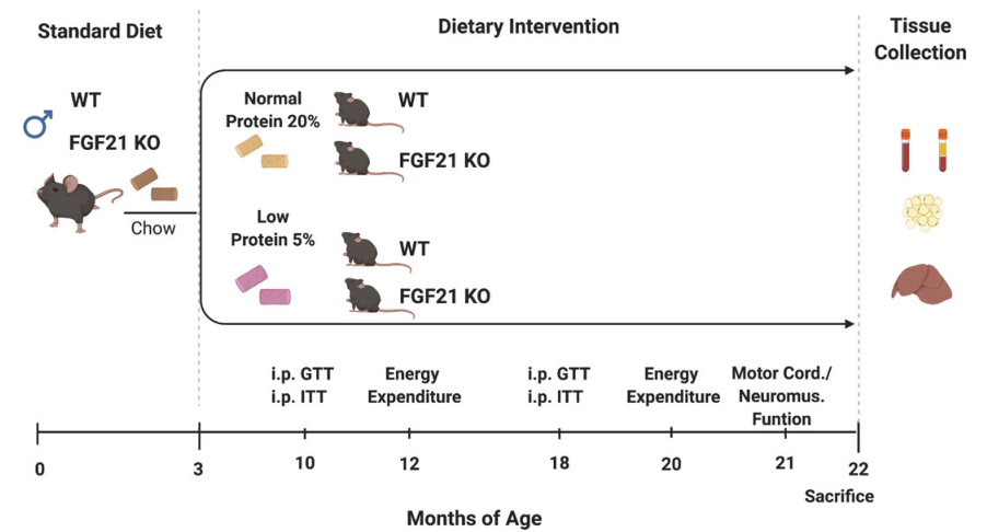 20220422032254995.png 20220422032254995.png