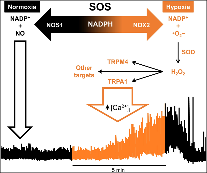 20220426014841404.png 20220426014841404.png