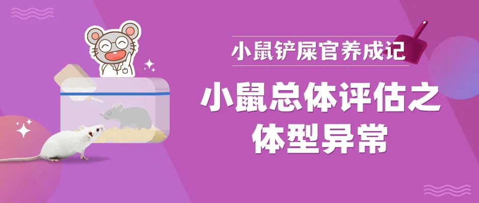 封面12.jpg 封面12.jpg