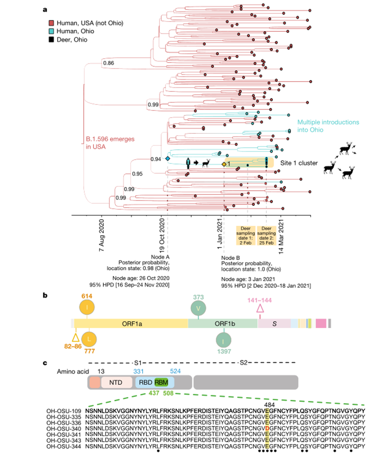 1652840525526230.png 1652840525526230.png