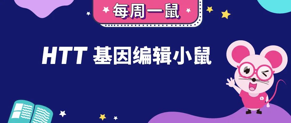 HTT基因编辑小鼠