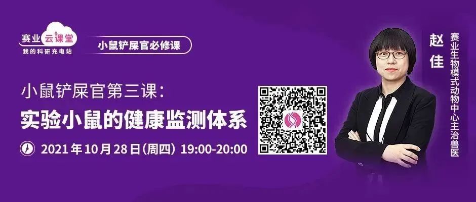 小鼠头部异常