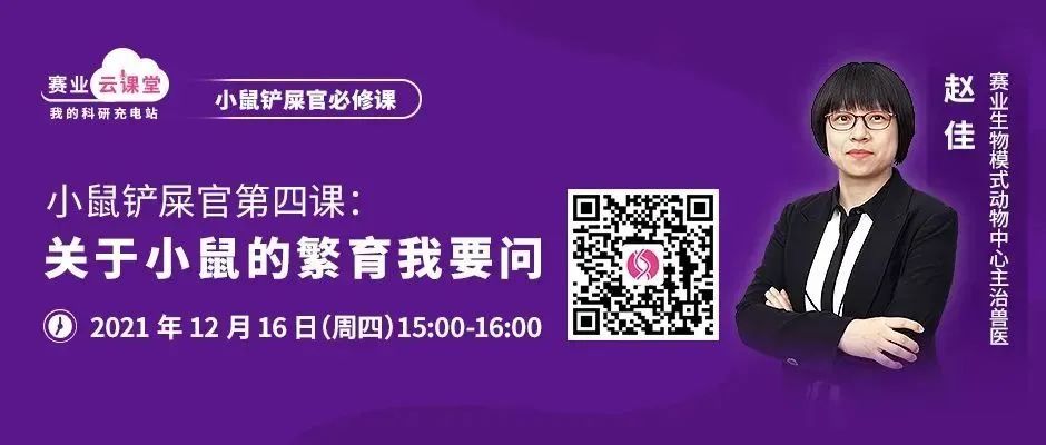小鼠头部异常