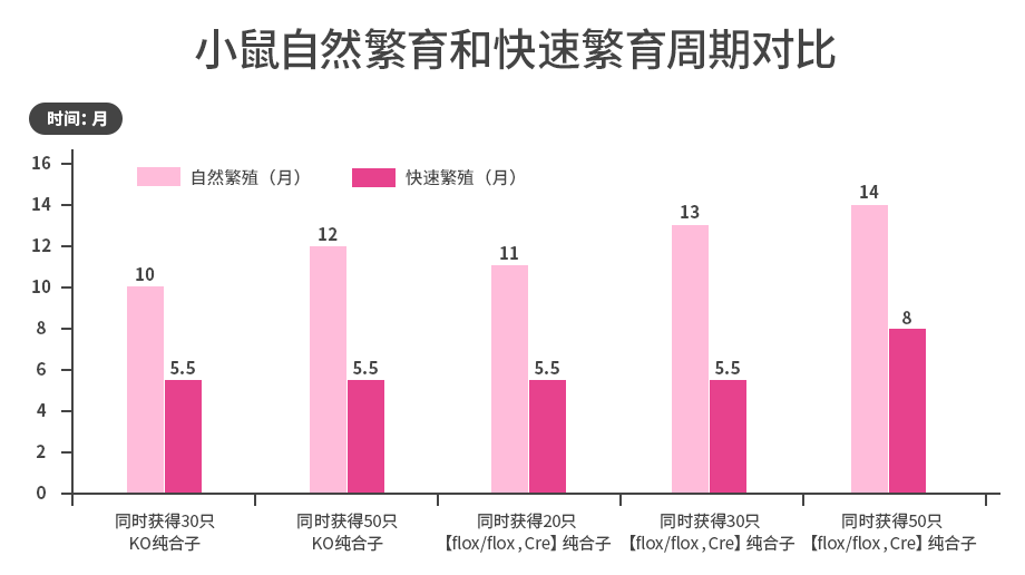 小鼠合笼，先挑选个黄道吉日