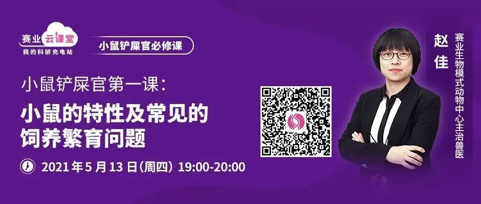 小鼠皮肤状态异常 小鼠皮肤状态异常