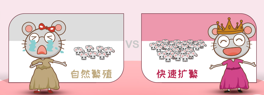 小鼠皮肤状态异常 小鼠皮肤状态异常