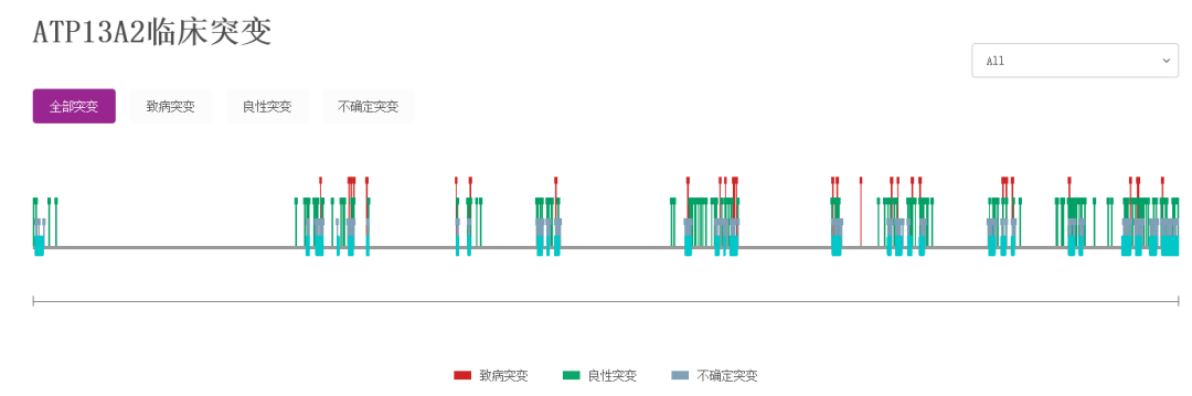 ATP13A2基因敲除小鼠 ATP13A2基因敲除小鼠