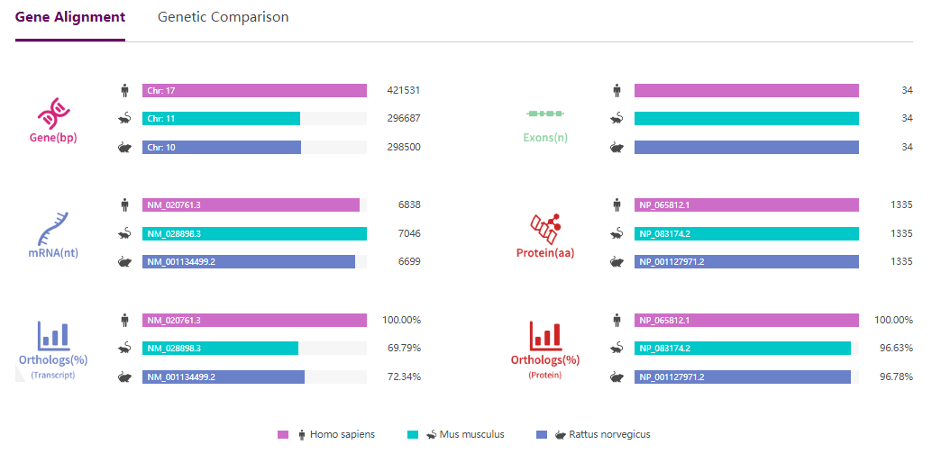 Rptor基因敲除小鼠