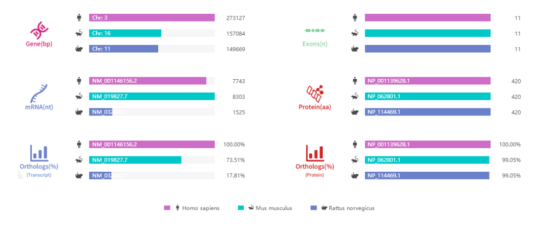 Gsk3b基因敲除小鼠
