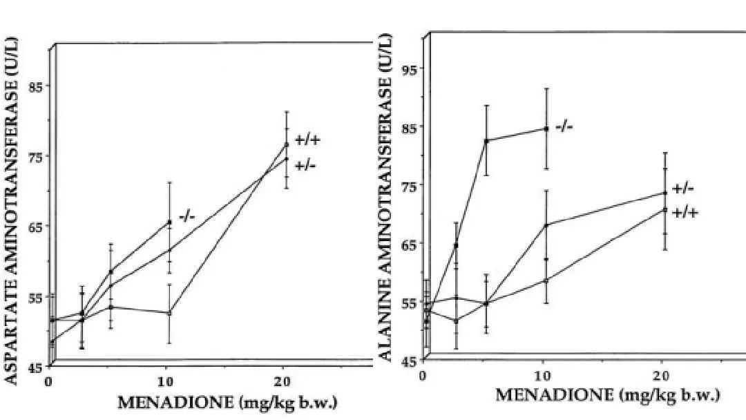 Nqo1基因敲除小鼠