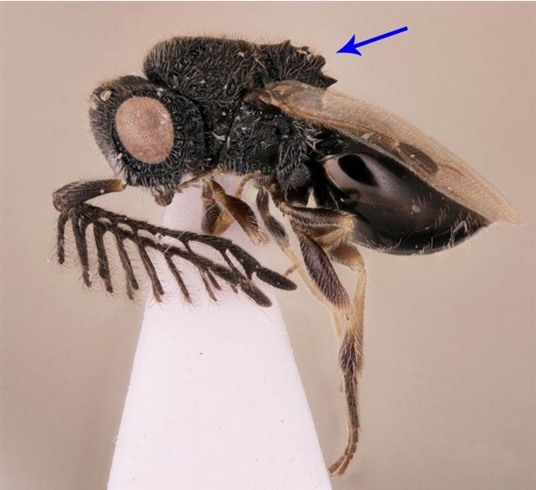 QQ 截图 20180205093110