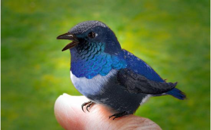 QQ 截图 20180202093757