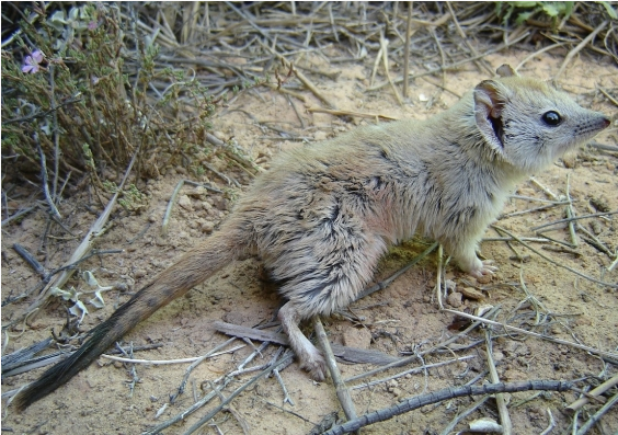 QQ 截图 20171218092434