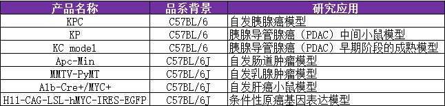 自发性肿瘤小鼠
