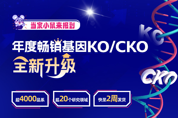 畅销基因系列榜