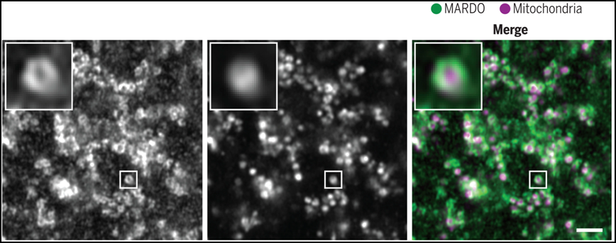 20221125011033993.png 20221125011033993.png