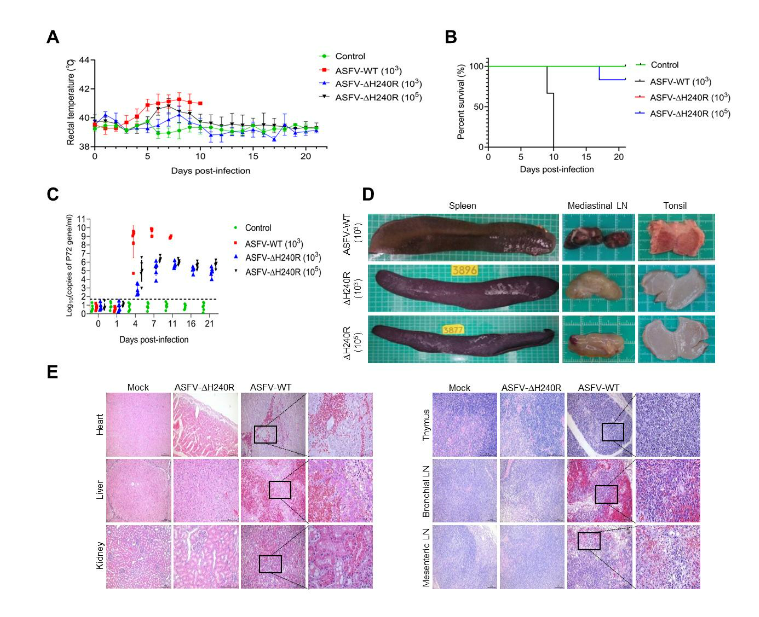 微信图片_20230214090851.png 微信图片_20230214090851.png