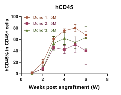 重度免疫缺陷小鼠