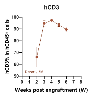 重度免疫缺陷小鼠