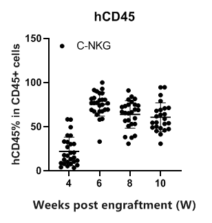 重度免疫缺陷小鼠