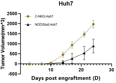 重度免疫缺陷小鼠