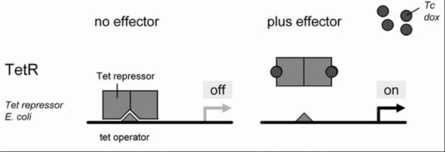 2022121937481152.jpg 2022121937481152.jpg