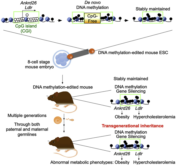微信图片_20230306144450.png 微信图片_20230306144450.png