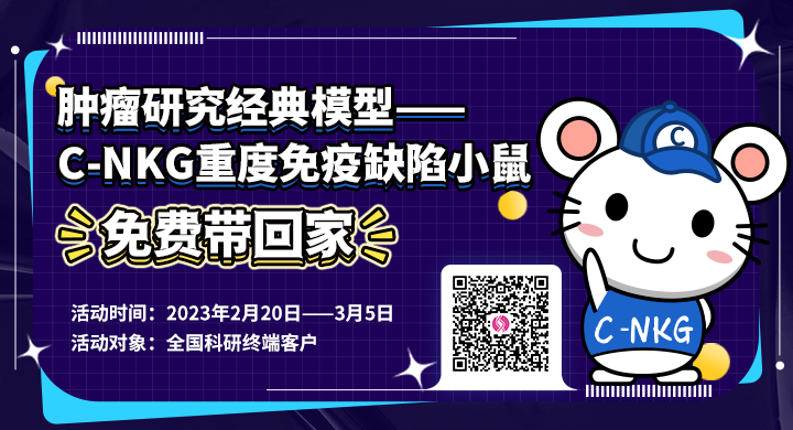 C-NKG小鼠
