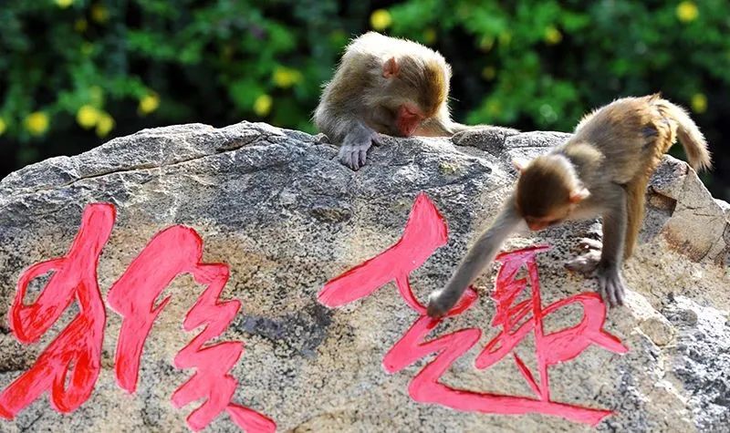 微信图片_20230404164235.jpg 微信图片_20230404164235.jpg