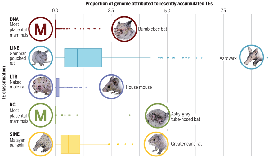 微信图片_20230508095644.png 微信图片_20230508095644.png