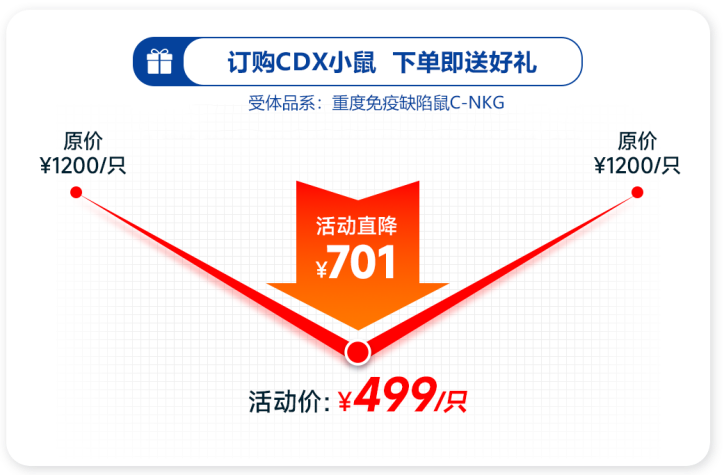 重度免疫缺陷C-NKG 重度免疫缺陷C-NKG