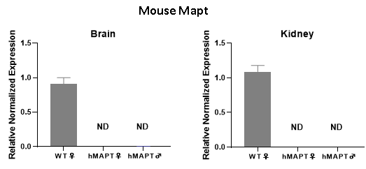 HUGO-GT™全基因组人源化小鼠