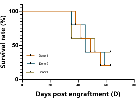 重度免疫缺陷鼠C-NKG