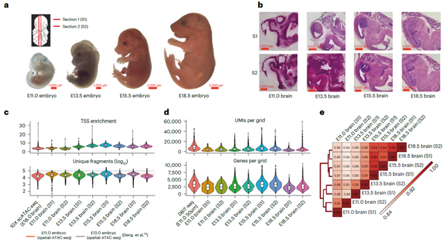 W020230526324381678114.png W020230526324381678114.png