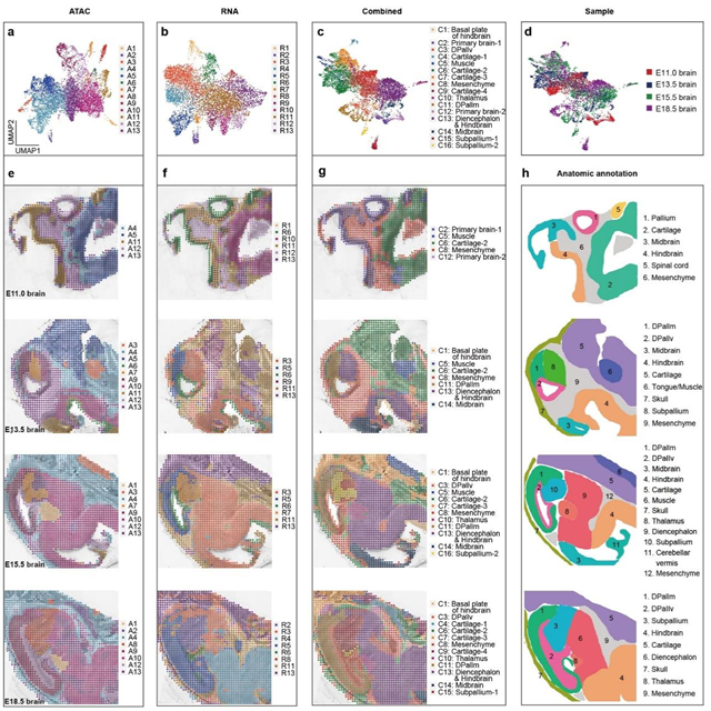 W020230526324381812672.png W020230526324381812672.png